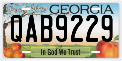 GA license plate QAB9229