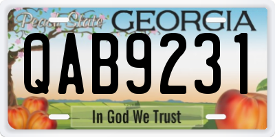 GA license plate QAB9231