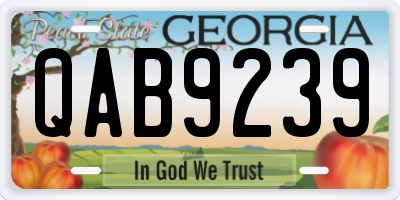 GA license plate QAB9239