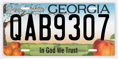 GA license plate QAB9307