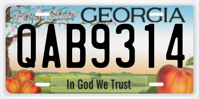 GA license plate QAB9314