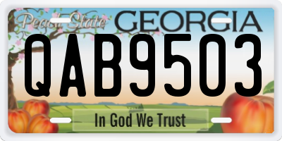 GA license plate QAB9503