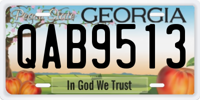 GA license plate QAB9513