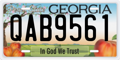 GA license plate QAB9561