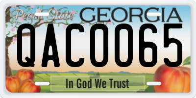 GA license plate QAC0065