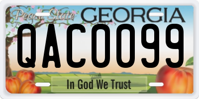 GA license plate QAC0099