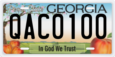 GA license plate QAC0100