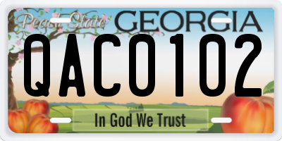 GA license plate QAC0102