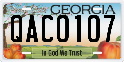GA license plate QAC0107