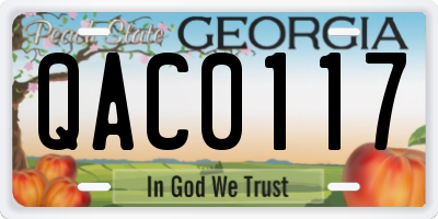GA license plate QAC0117