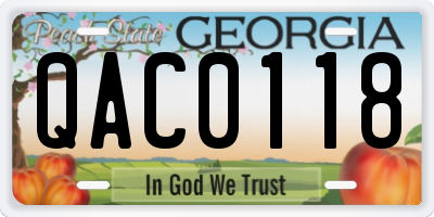GA license plate QAC0118