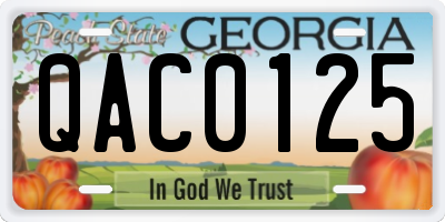 GA license plate QAC0125