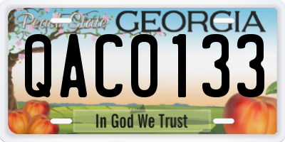 GA license plate QAC0133