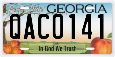 GA license plate QAC0141