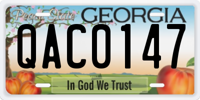 GA license plate QAC0147