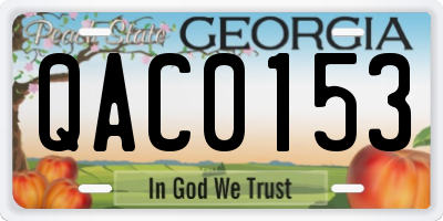 GA license plate QAC0153