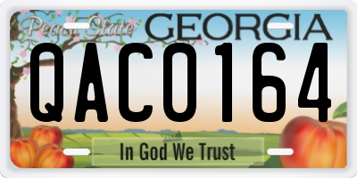 GA license plate QAC0164