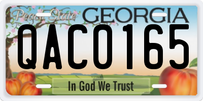 GA license plate QAC0165