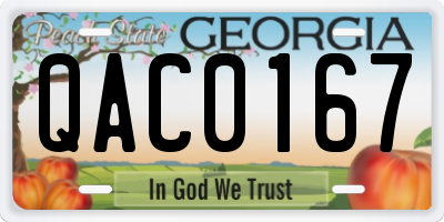 GA license plate QAC0167