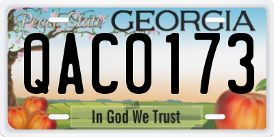 GA license plate QAC0173