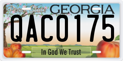 GA license plate QAC0175