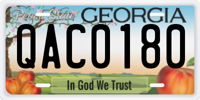 GA license plate QAC0180