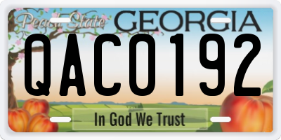 GA license plate QAC0192