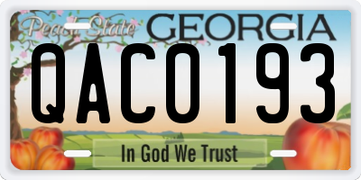 GA license plate QAC0193