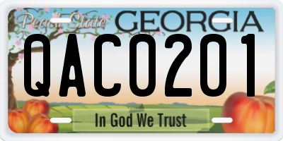 GA license plate QAC0201