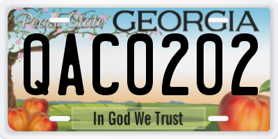 GA license plate QAC0202
