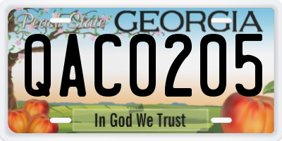 GA license plate QAC0205