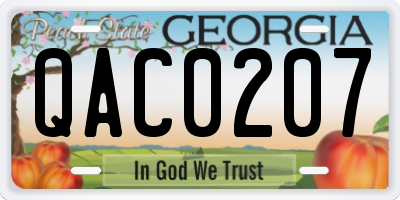 GA license plate QAC0207