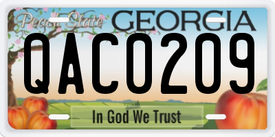 GA license plate QAC0209