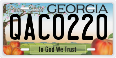 GA license plate QAC0220