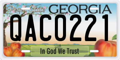 GA license plate QAC0221