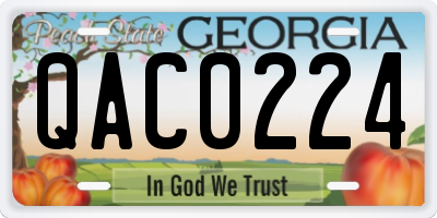 GA license plate QAC0224