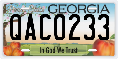 GA license plate QAC0233