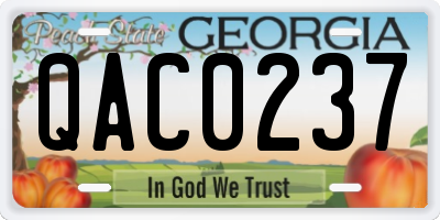 GA license plate QAC0237