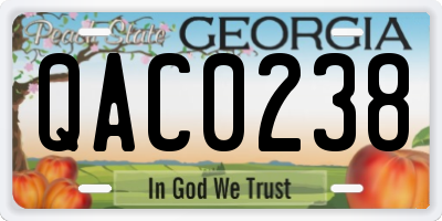 GA license plate QAC0238