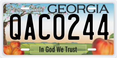 GA license plate QAC0244