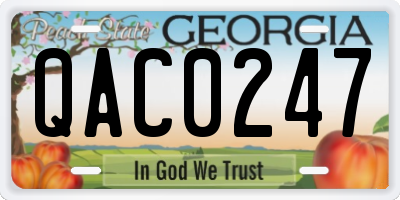 GA license plate QAC0247