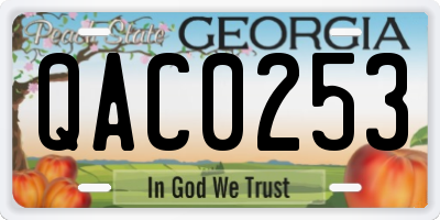 GA license plate QAC0253