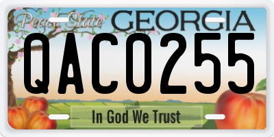 GA license plate QAC0255
