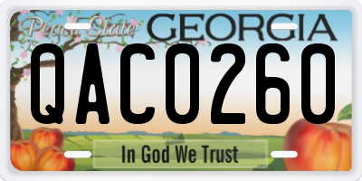 GA license plate QAC0260