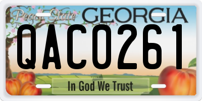 GA license plate QAC0261