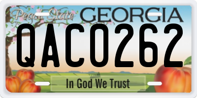 GA license plate QAC0262