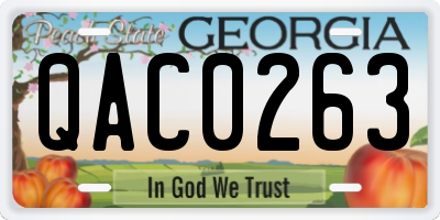 GA license plate QAC0263