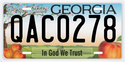 GA license plate QAC0278