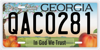 GA license plate QAC0281
