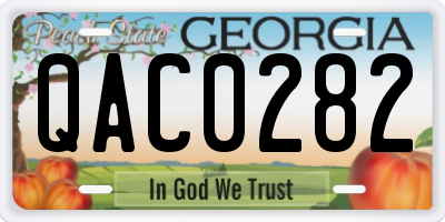 GA license plate QAC0282
